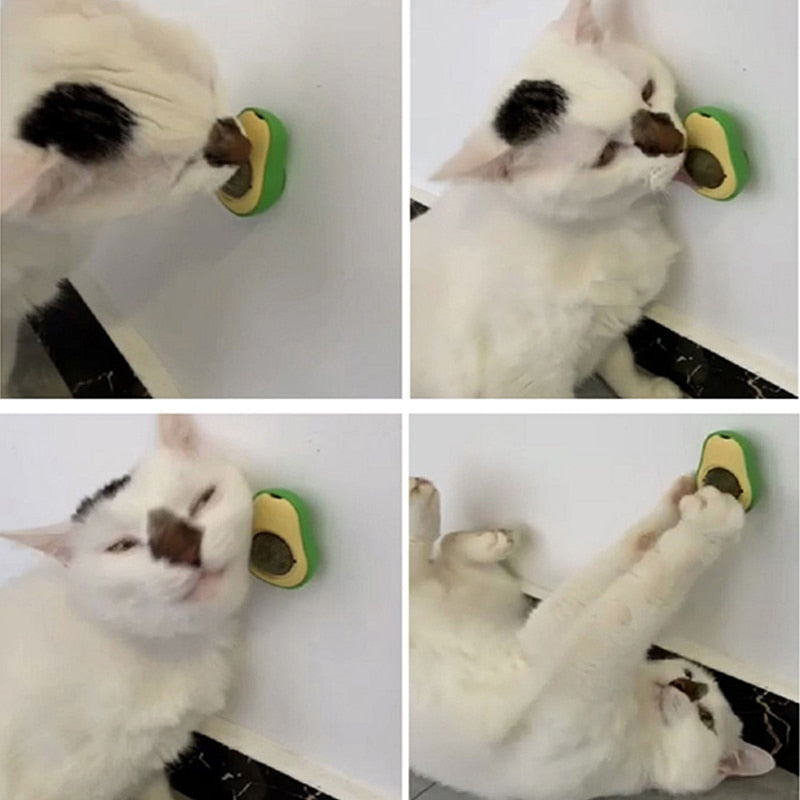 Avocado Catnip Ball