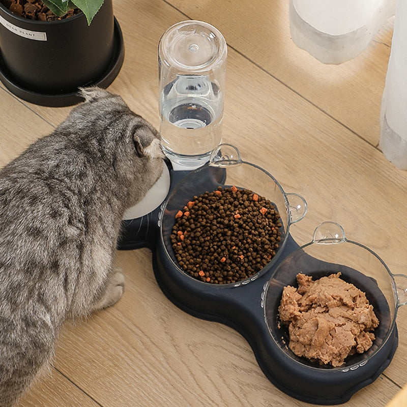 MOTCHI Food Bowl With Water Fountain