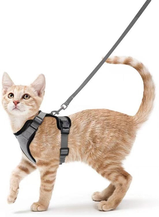 NARUTO Leash