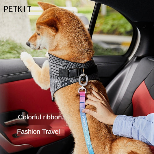 PABLO Colorful Pet Car Seat Belt