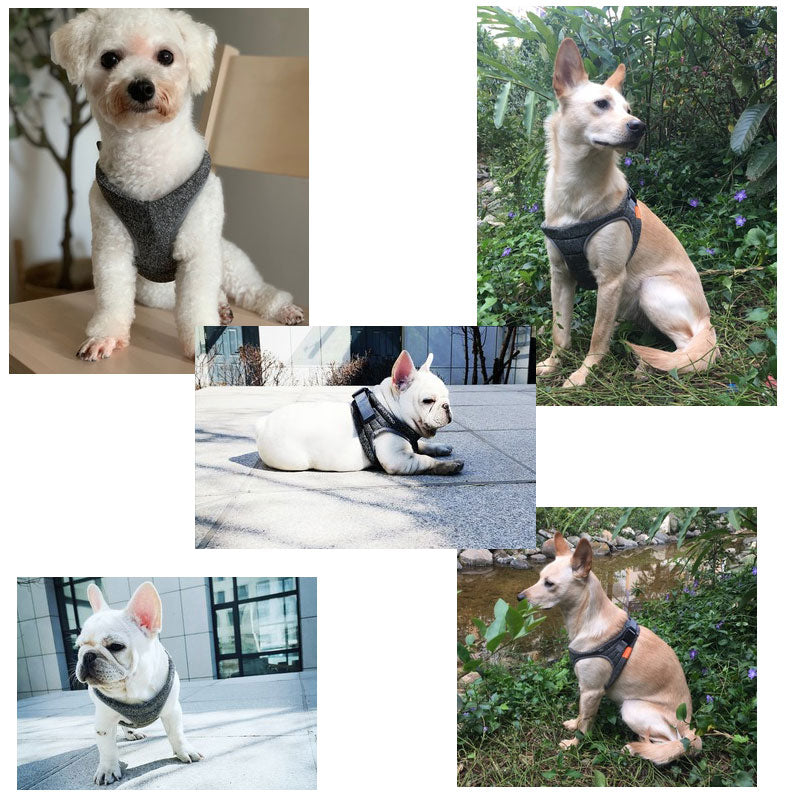 PABLO Adjustable Dog Chest Harness