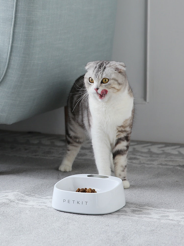 TOM Feeding Bowl